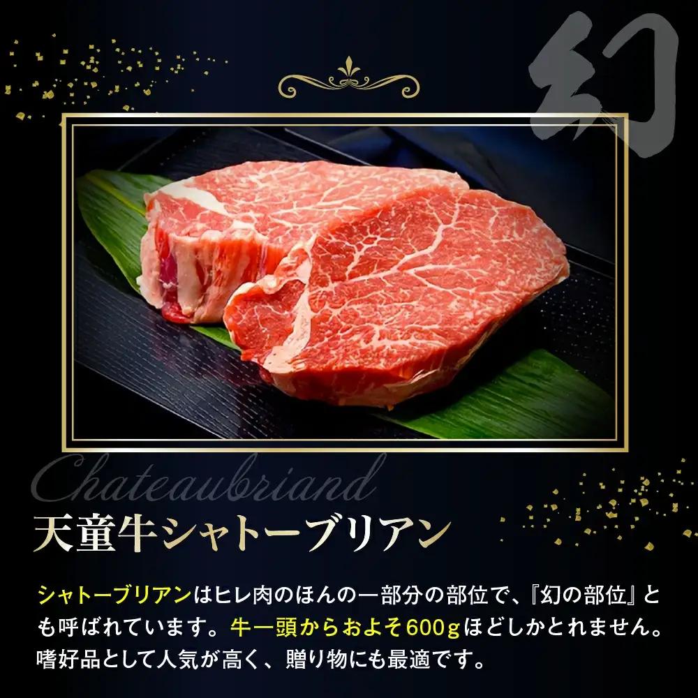 天童牛 ヒレ 1本分 シャトーブリアン & ひれ チルド 肉 山形牛