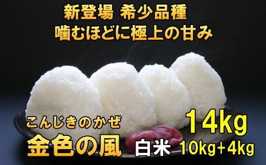 【白米14kg】新登場の高級米　令和6年産  岩手県奥州市産 金色の風14kg（10kg＋4kg）【７日以内発送】 おこめ ごはん ブランド米 精米 白米