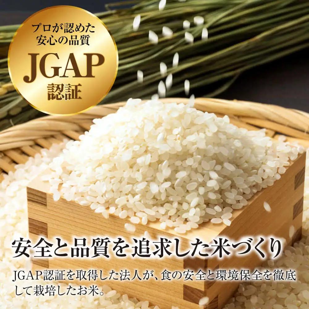 【令和7年産】こしひかり 10kg 【スピード発送】アグリ君田 [APDC002] コシヒカリ