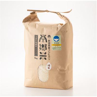ふるさと納税 五泉市 【毎月定期便】特別栽培米コシヒカリ100%「南郷米」精米 5kg(5kg×1袋)全6回 |  | 01