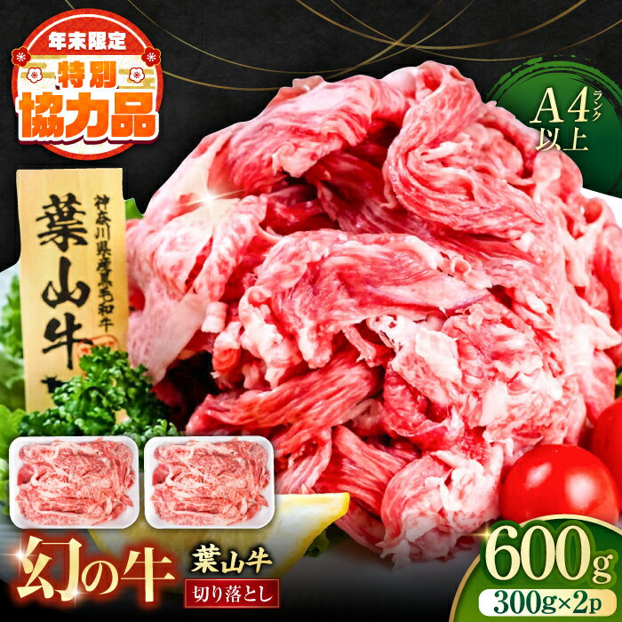 【ふるさと納税】葉山牛 切り落とし300g×2パック 計600g 小分け 便利 切り落とし 国産 和牛 牛肉 肉 お肉 希少 きりおとし 神奈川 冷凍 パック ブランド牛 横須賀 【株式会社羽根】[AKAG001]