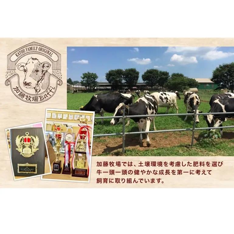 ジェラート加藤牧場ノンホモ低温殺菌牛乳ジェラート【9個】【冷凍】