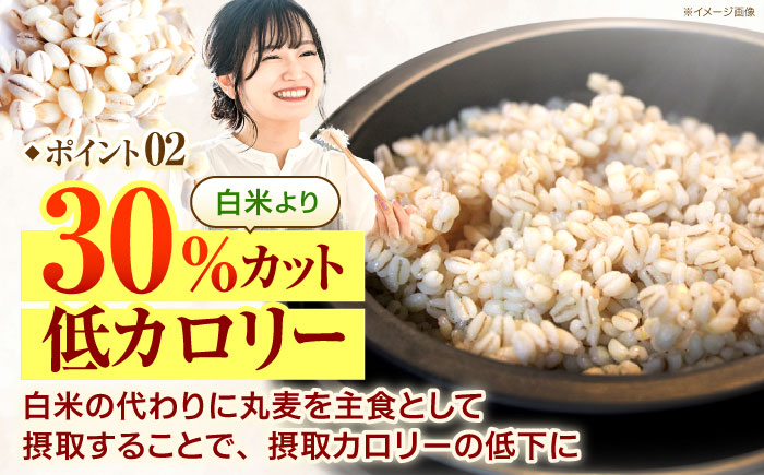 長崎県産 丸麦 10kg / 麦 むぎ 雑穀 雑穀米 麦ごはん 麦飯 麦みそ 食物繊維 長崎県産 米 こめ コメ ※ / 諫早市 / 有限会社伊東精麦 [AHBU005]