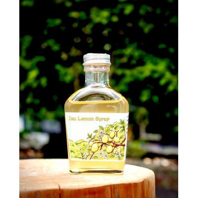 ふるさと納税 伊東市 伊豆産ハチミツレモンシロップ