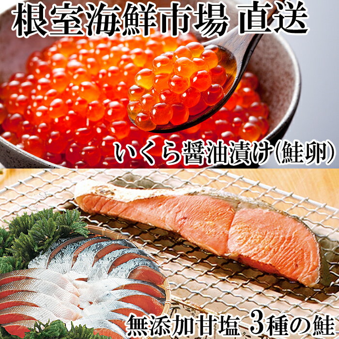 紅鮭・時鮭・秋鮭切身各5切、いくら醤油漬け(鮭卵)80g×2P