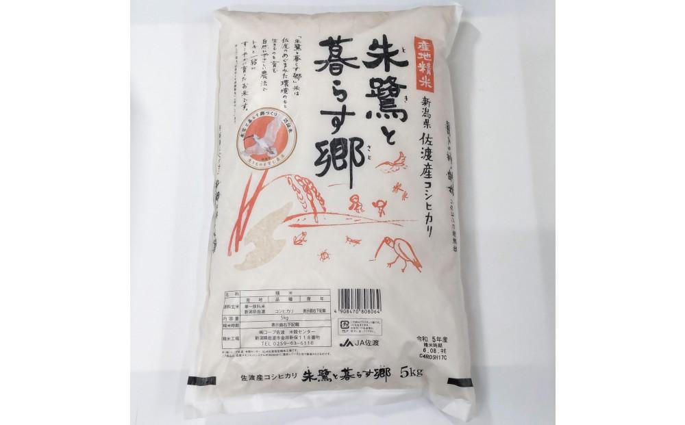 令和7年産 佐渡産コシヒカリ米「朱鷺と暮らす郷」10kg(5kg×2個) 佐渡・今井茂助商店おすすめ