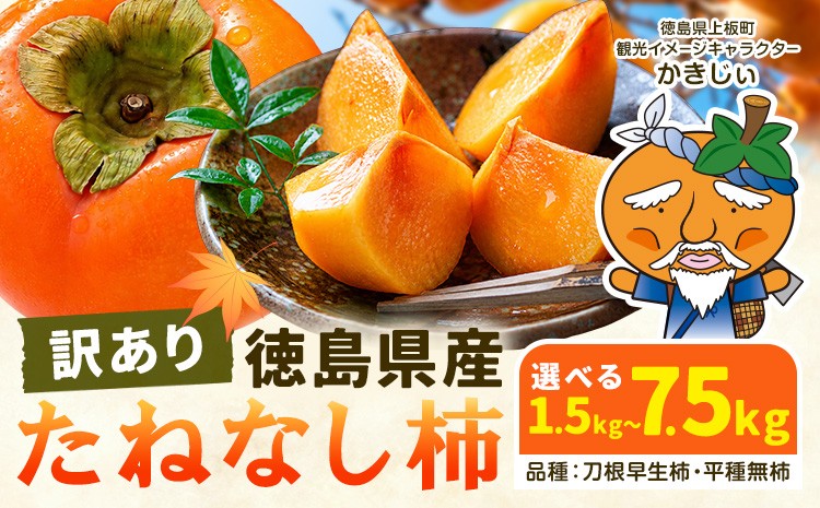 
                  柿 果物 訳あり たねなし柿 1.5kg 4kg 7.5kg 《2026年9月末から10月末出荷予定》 旬 送料無料 徳島県 上板町 フルーツ かき カキ くだもの 刀根早生柿 平種無柿
                