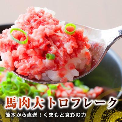 ふるさと納税 合志市 熊本直送　馬刺しブロック肉　上霜降り(トロ)300g+大トロフレーク200g(合志市) |  | 01
