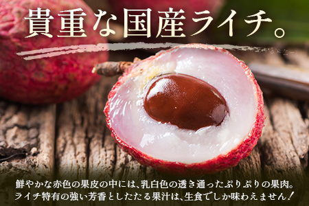 『数量限定』『期間限定』清緑香園の摘みたて「生ライチ」12個 宮崎県産 先行予約【C235】