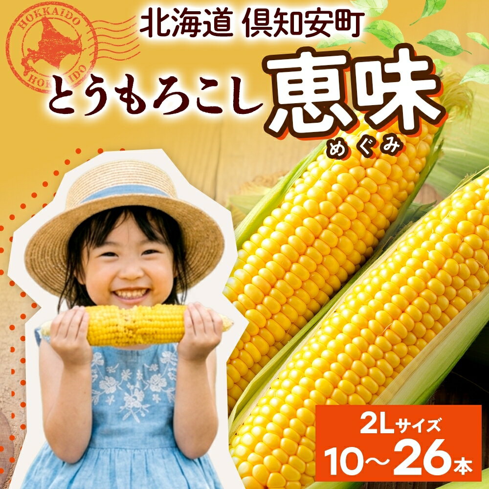 【ふるさと納税】【2026年】北海道産 2Lサイズ 朝もぎ イエロー とうもろこし 恵味 めぐみ 選べる本数 10本 13本 26本 大きめ とうきび 新鮮 スイートコーン 産地直送 グリーンアースファーム　お届け：2026年8月上旬～8月下旬