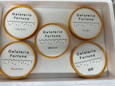 萩市の果物や野菜を使用したイタリアンジェラート｜HGH00002