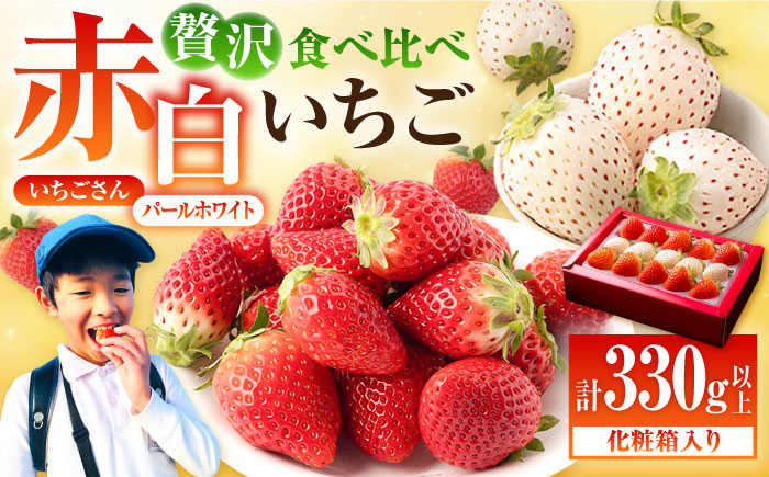 【先行予約】【農家直送】【化粧箱入り】赤白いちご「いちごさん」＆「パールホワイト」 約330g以上【かわさきいちご】イチゴ [IBG001]