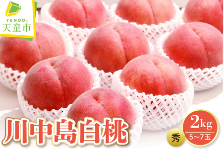 もも 川中島 白桃 2kg フルーツ 果物 山形 桃
