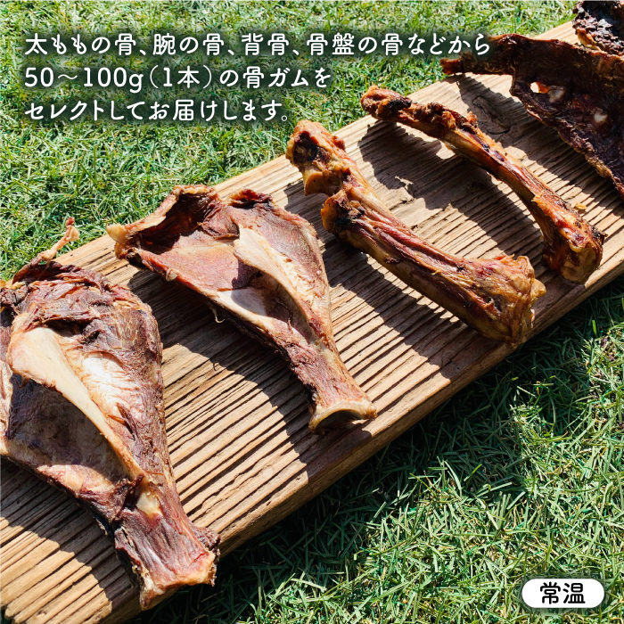 中型犬向け☆天然いのししのスモーク骨ガム4本【わんこin食堂】 [FCG054]