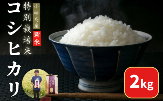 【2026年9月順次発送】令和8年産 白米 コシヒカリ 2kg 特別栽培米 健康  安心 安全  お試し 少量 小分け 四国 徳島 小松島 米 おいしい kome お米 こめ おこめ こしひかり 精米 国産 ごはん ご飯 白飯 ゴハン 人気 コスパ おすすめ TKG 卵かけご飯 おにぎり おむすび
