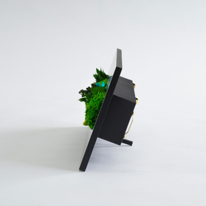 グリーンフレームW 花 お花 プリザーブドフラワー ギフト プレゼント お祝い 誕生日 お供え アレンジ インテリア 東京都 墨田区 白フレーム