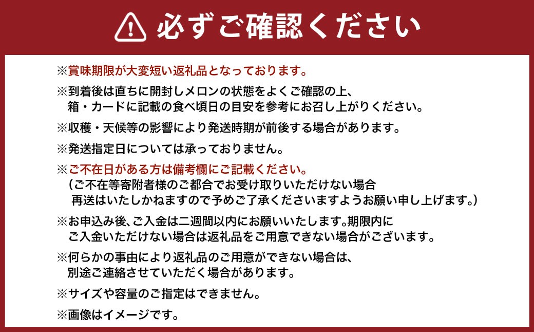 【5ヶ月定期便】静岡県産 高級アローマメロン 小玉 1玉（約0.9kg以上）