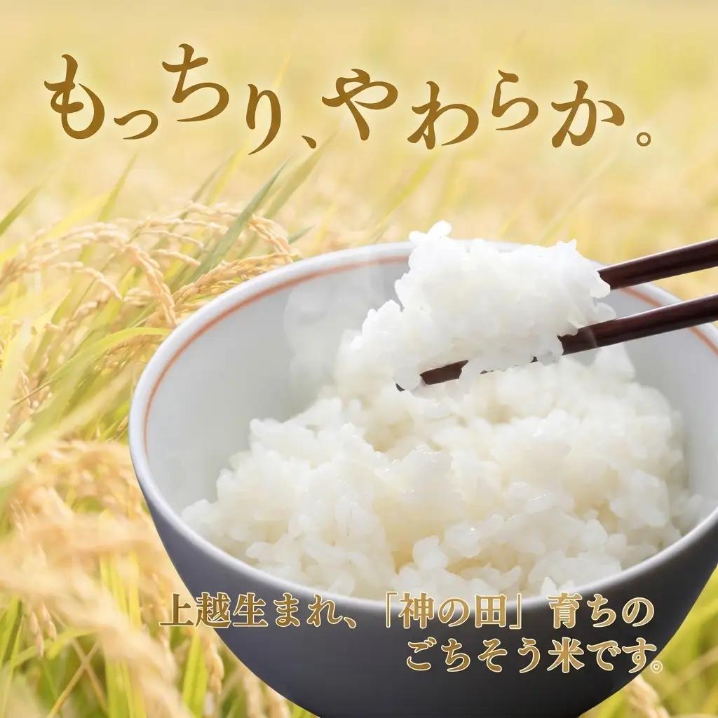 富永農産 コシヒカリ 上越産 コシヒカリ 10kg(5kg×2)