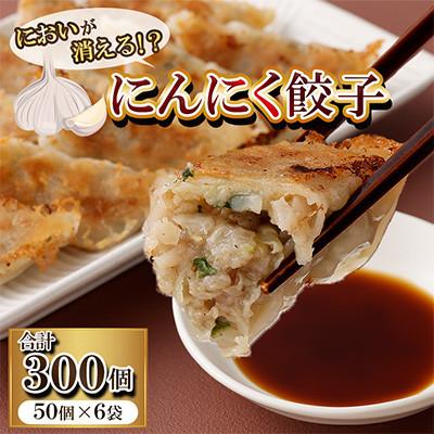ふるさと納税 直方市 においが消える!?にんにく餃子 50個×6袋