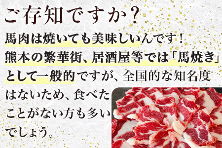 【数量限定】熊本県産 馬肉 サガリ(ヒモ肉) カルビ 焼肉用 300g 本場 ヘルシー 馬肉 刺し身 OK 赤身 030-0705