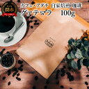 【ふるさと納税】コーヒー豆　グァテマラ　100g （約10杯分）　～ カフェ・アダチ 自家焙煎 珈琲 コーヒー 豆 （粉にもできます） ドリンク 飲料 カフェアダチ