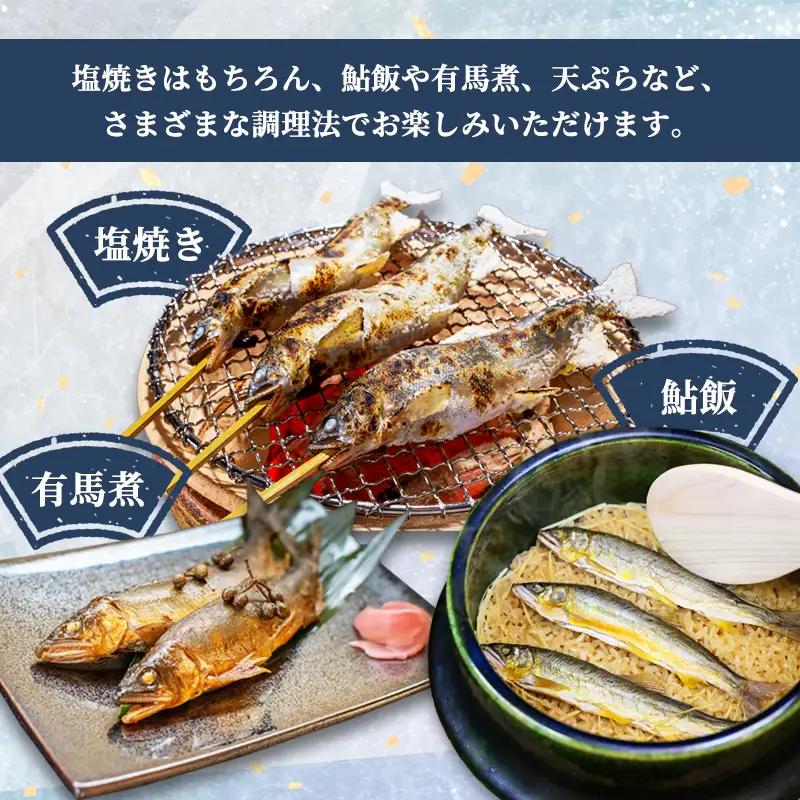 天然鮎 網獲り 冷凍 約1kg（約15匹～22匹）あゆ 鮎