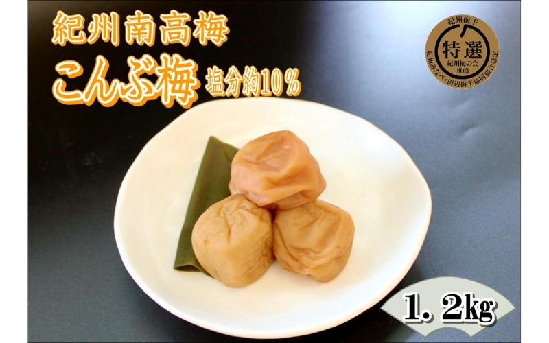 
                  紀州南高梅　昆布梅　1.2kg 塩分 10％【yplu010B】
                