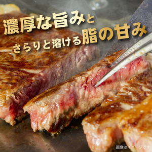 【新鮮チルド発送!!】A5等級宮崎牛特選サーロインステーキ 4枚 800g（黒毛和牛 牛肉 宮崎牛 A5 ステーキ サーロイン 焼肉 宮崎県）