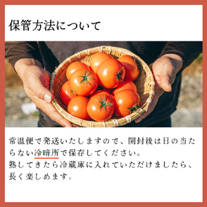 【ふるさと納税】訳あり 3回 定期便 フルーツトマト 原田農園【12月下旬～5月頃発送】＜1.8kg 箱入＞ 桃太郎【常温】送料無料 家庭用 ワケあり 変形 キズあり 高知県　＜2024年12月下旬頃