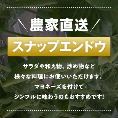 ふるさと納税 川南町 【令和8年発送】朝どれ!守部さん家のスナップエンドウ1.0kg |  | 01