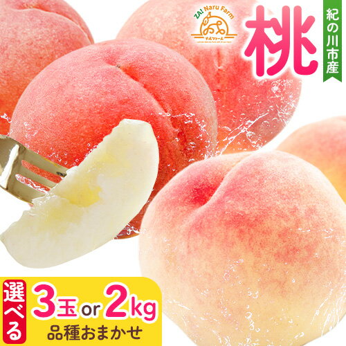 【ふるさと納税】桃 紀の川市産 選べる 3玉 約2kg(5〜8玉) 品種おまかせ NaruFarm《2025年6月上旬-7月中旬頃出荷》和歌山県 紀の川市 桃 もも 果実 果物 フルーツ デザート 送料無料