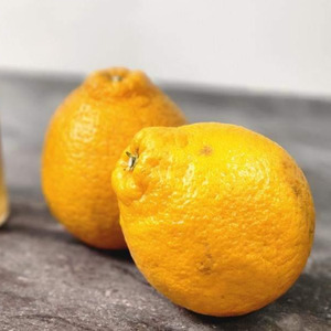 【2回定期便】先行予約 清水果樹園のフルーツ定期便 不知火 約4.5kg シャインマスカット 約1.2kg 計5.7kg 【2026年3月上旬・7月下旬～8月中旬発送予定】