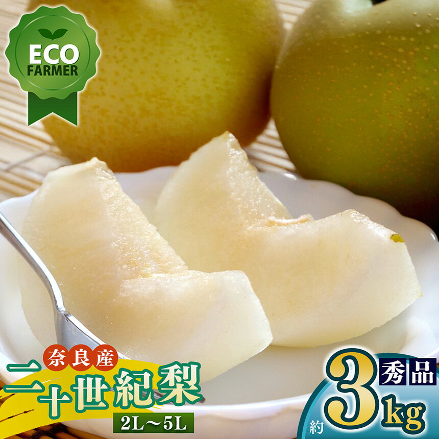 【ふるさと納税】【先行予約】 南陽園の二十世紀梨 おみやげ桜箱（約3kg） 2L～5L 【秀品】 | ≪数量限定≫ 梨園直送！ 期間限定 果物 くだもの フルーツ 農家直送 梨 ナシ シャキシャキ もぎたて 旬 お取り寄せ 奈良県 大淀町 ※9月中旬より順次発送予定