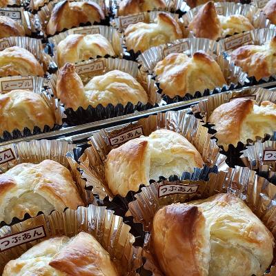 ふるさと納税 鯖江市 もちパイ 15個入り