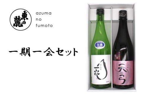 東の麓 一期一会 限定セット 「生酒 盈盈一水（エイエイ一水） ＆ 純米吟醸 天弓 桜雨」 各720ml 《令和7年12月中旬～発送》 『東の麓酒造』 日本酒 2本セット 飲み比べ 山形県 南陽市 [2251]