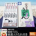 【ふるさと納税】稲庭古来堂 稲庭うどん 紙箱入りたれ付き 800g 【伝統製法認定】