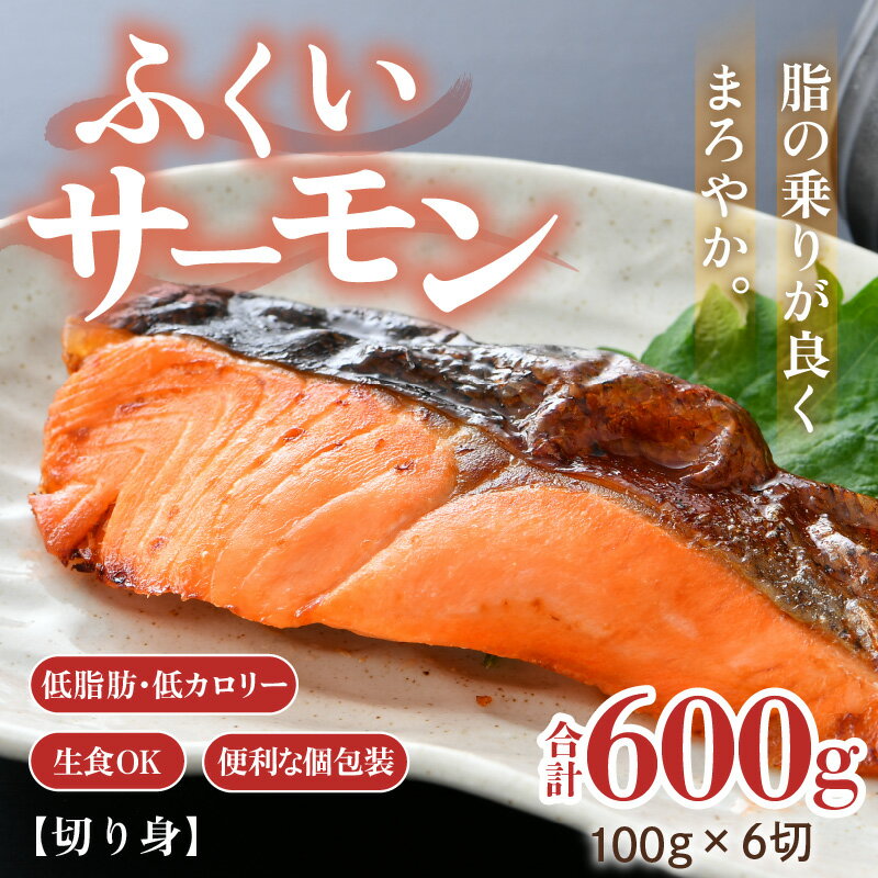 【ふるさと納税】ふくいサーモン 切り身 100g×6切 計600g ＜鮮度抜群！アレンジ自在！真空冷凍＞ ／ 生食OK 刺身 焼き魚 鮭 国産 福井県 あわら市 魚