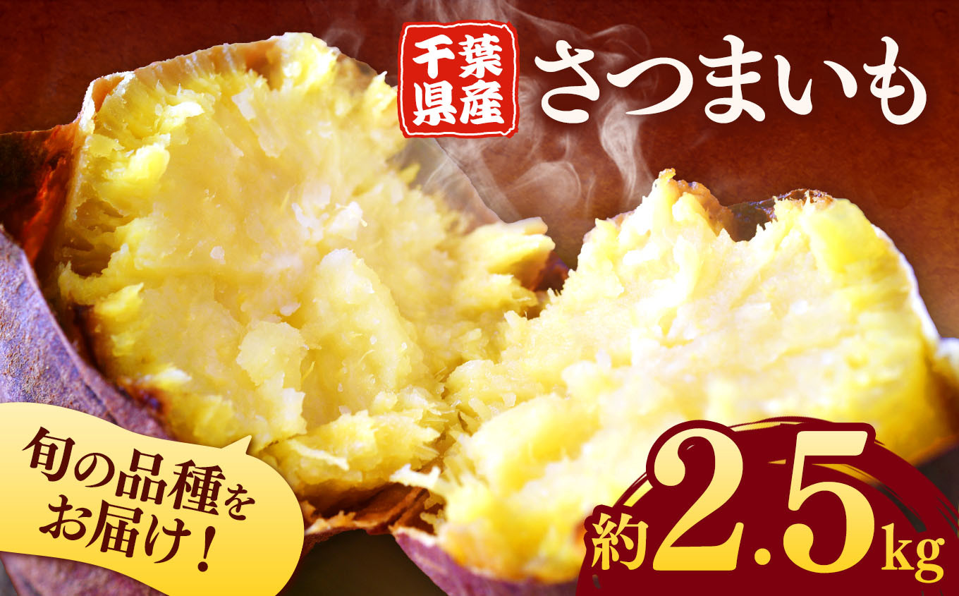 
            千葉県産 さつまいも 2.5kg |  人気の直売所 新鮮 人気の直売所 直送 JA きみつ 味楽囲（みらい）さだもと店 君津市 きみつ 千葉県
          