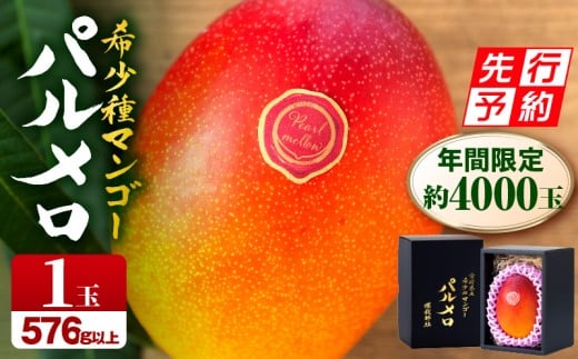《2026年発送先行予約》【期間・数量限定】宮崎県産希少種マンゴーパルメロ　計576g以上　1玉入り| マンゴー 完熟マンゴー 完熟 宮崎 宮崎県産 パルメロ 1玉 果物 フルーツ スイーツ デザート