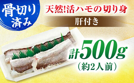 ＼レビューキャンペーン中／身から肝まですべて堪能！熟練の技で食べやすい！活きハモの骨切り 2人前（約500g）　愛媛県大洲市/天然活魚　濱　屋[AGBP006]ハモ鱧魚介類ハモ鱧魚介類ハモ鱧魚介類ハモ