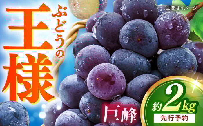 
            【先行予約：2025年8月中旬より順次発送予定】 巨峰 種あり 約2kg / ぶどう 葡萄 フルーツ / 大村市 / おおむら夢ファームシュシュ [ACAA380]
          