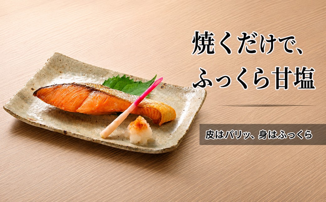 佐渡産ふっくら銀鮭（8切）