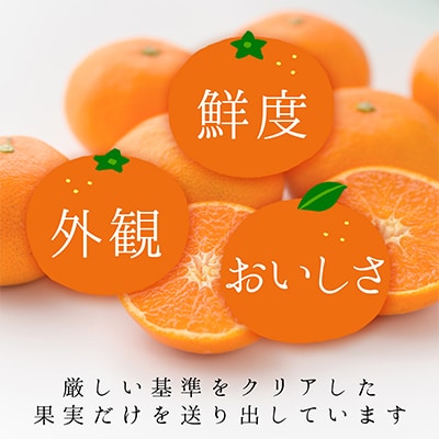 コウ果樹園の「柑橘の大トロ　せとか3kg」【C33-1】【1269378】