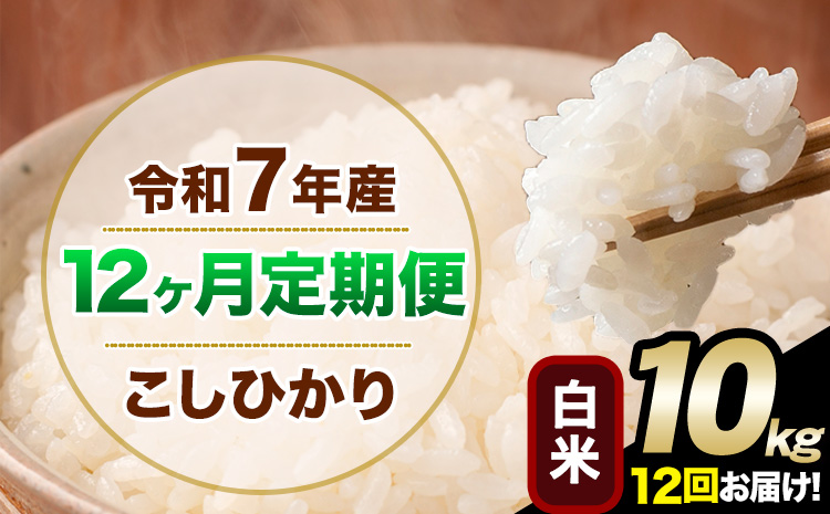 【12ヶ月定期便】令和7年産 定期便 こしひかり 白米 定期便 10kg 精米 熊本県産(南阿蘇村産含む) 単一原料米 南阿蘇村《お申し込みの翌月から出荷》---kh7tei_264000_10kg_mo12_mna_h---