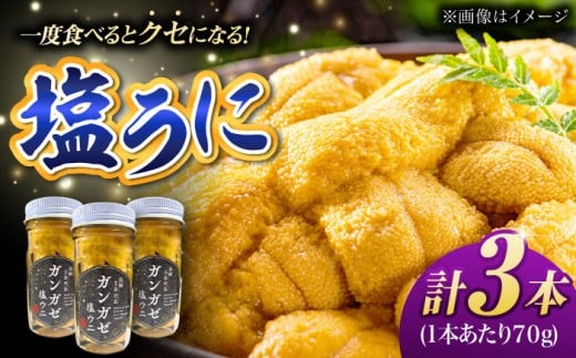 厄介うに ガンガゼ塩うに 70g×3本 五島市 / うた丸 [PGA001]  ウニ 雲丹 ガンガゼうに ガンガゼウニ 海鮮 魚介 長崎 九州 五島 五島列島 セット