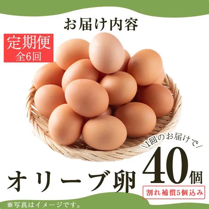 No.779 ＜定期便・全6回(連続)＞鹿児島県産美山オリーブ卵(40個×6ヶ月連続) 割れ保証付 国産 九州産 鹿児島県産 たまご タマゴ オリーブ 卵 鶏卵 生卵 おかず TKG 卵かけご飯 朝食