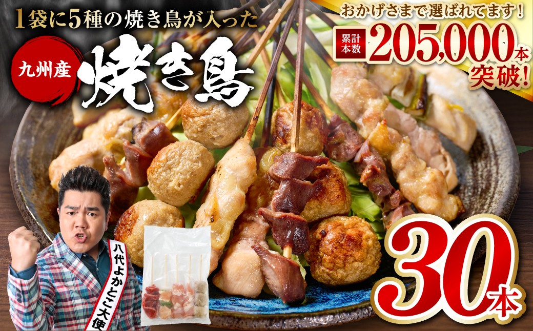 
                  やきとり5種 30本セット お試しサイズ！ 焼き鳥 焼鳥 国産 鶏 鶏肉 とり肉 串 九州産 冷凍 小分け ねぎま むね とろ もも 砂肝 つくね BBQ パーティー おつまみ セット バラエティーパック
                