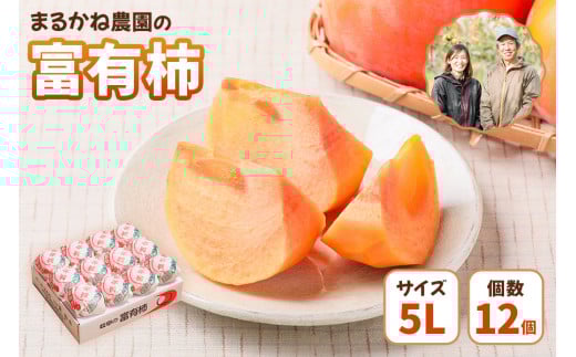 富有柿 贈答用 5Lサイズ 12個入り｜まるかね農園 カキ かき 果物 くだもの フルーツ 岐阜県 本巣市