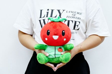 ぬいぐるみ とまちゃん 大＆アクリルスタンドセット | ぬいぐるみ 北本市観光協会