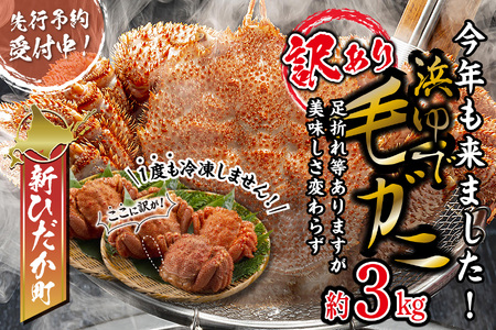 訳あり 毛ガニ ＜冷蔵＞ 北海道産 浜ゆで 毛蟹 約3kg ＜2月中旬から順次発送＞